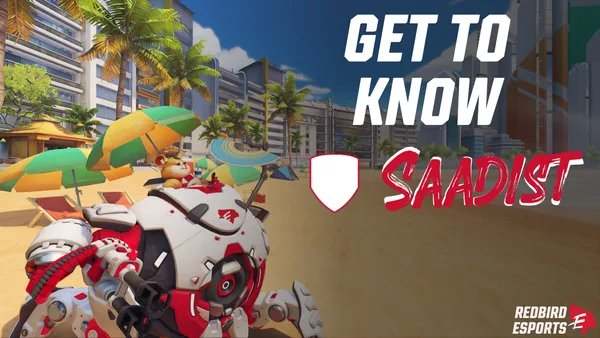 Get to Know Saadist